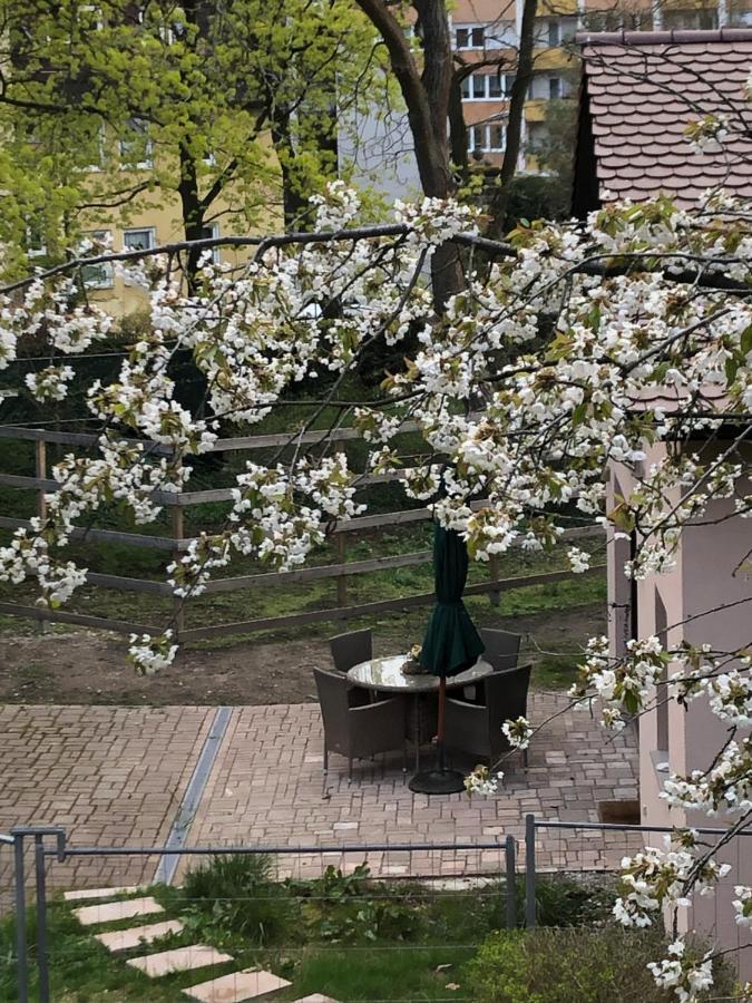 Forsthaus Zu Lichtenhof Norimberga Esterno foto